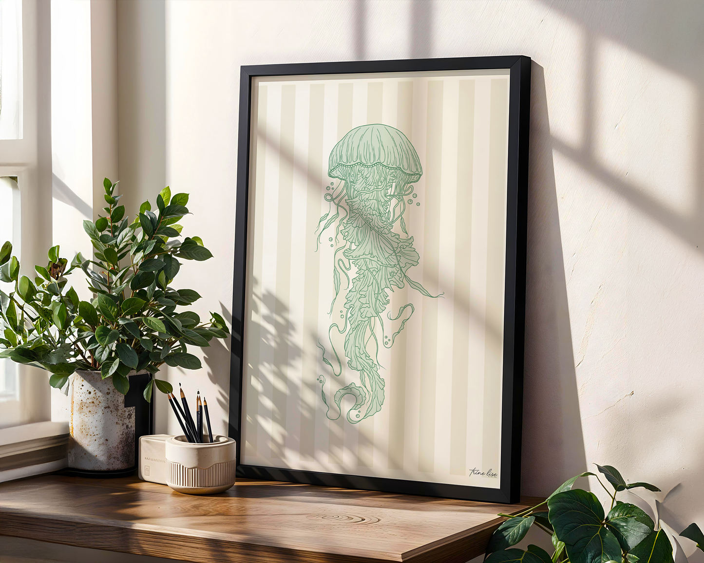 Jellyfish