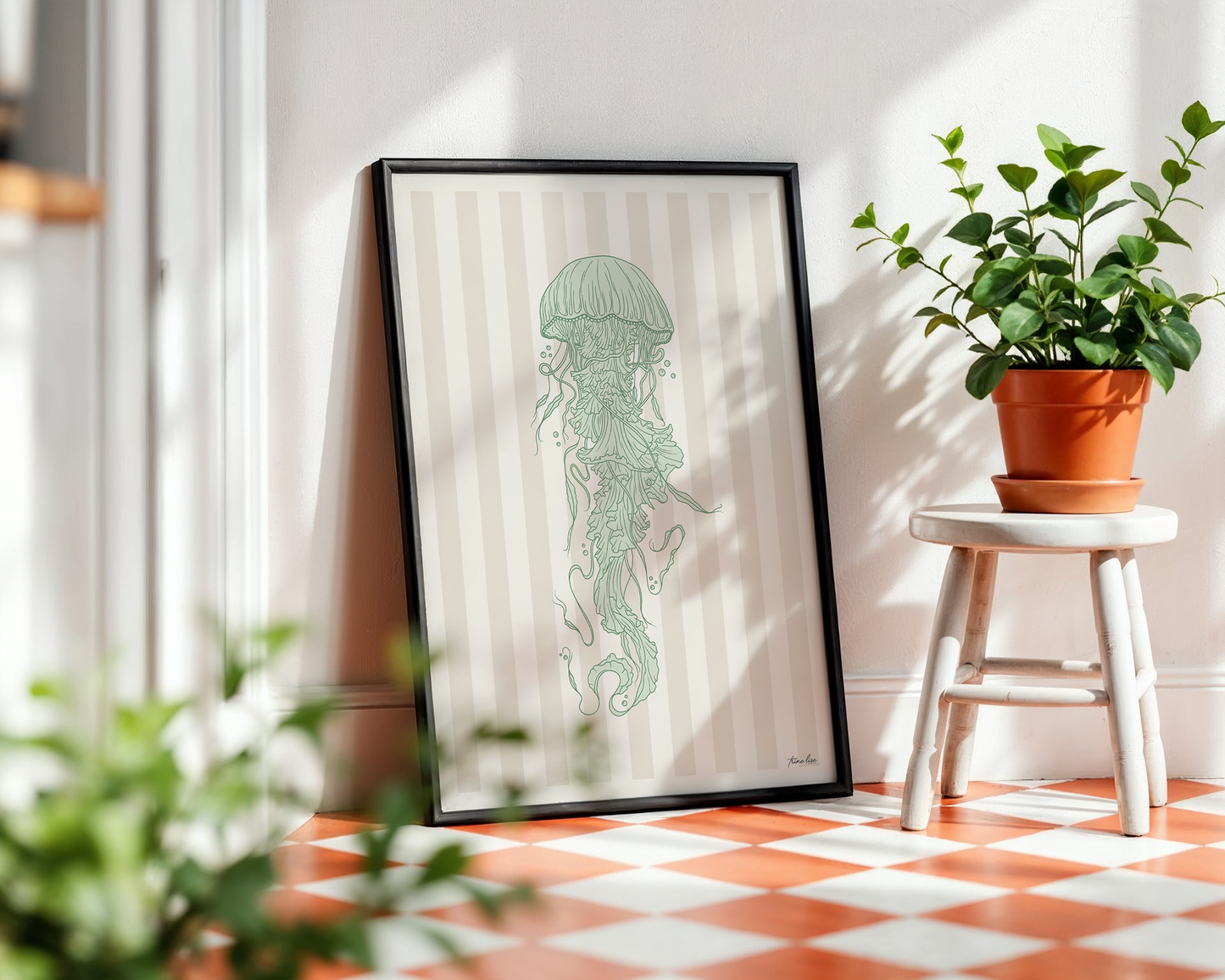 Jellyfish