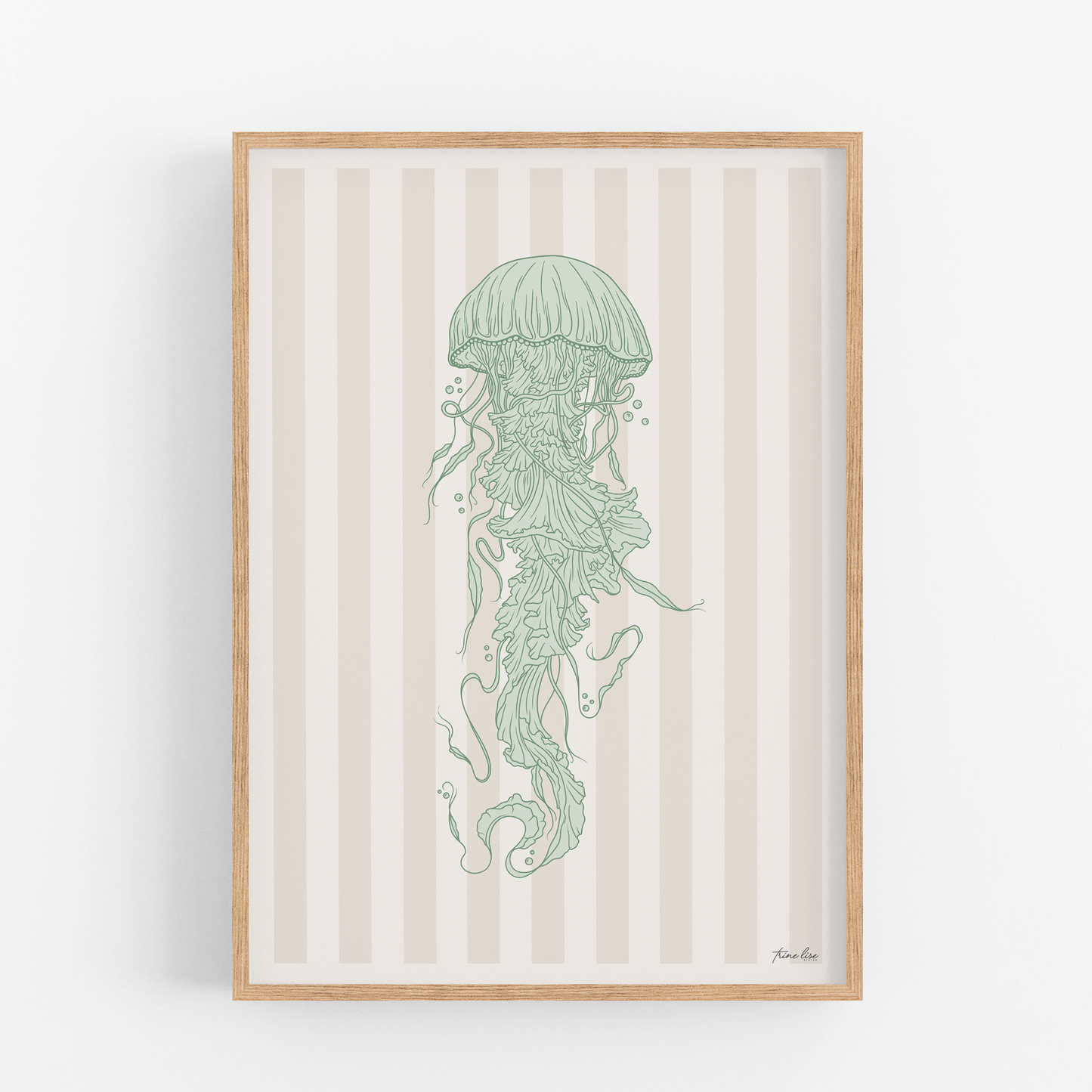 Jellyfish