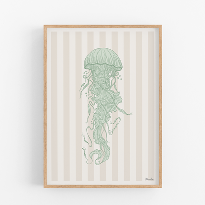 Jellyfish