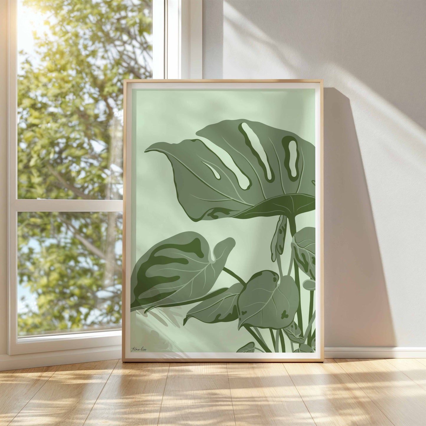 Monstera